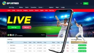 Reddy Anna: India’s Leading Sports Betting Platform with Live Streaming and Fast Payouts